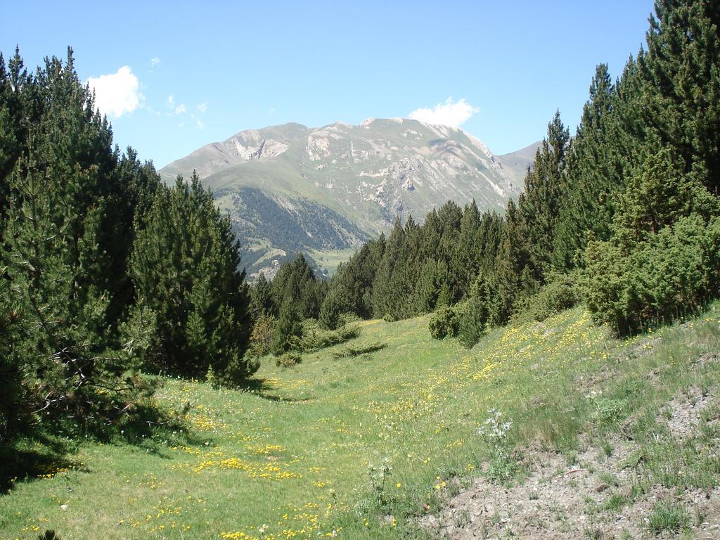 Xalet Les Avellanes - Hut 7335 Villa Arinsal Dış mekan fotoğraf